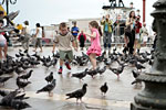 _MG_4154p