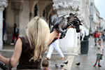 _MG_4156p