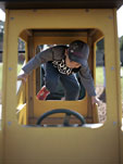 _MG_5381p