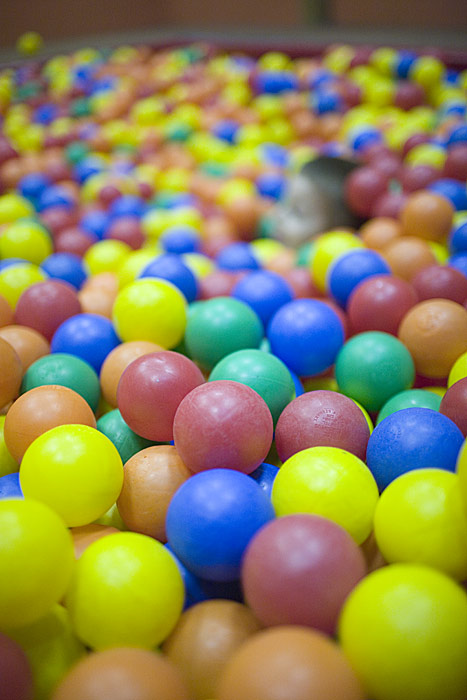 _MG_8529p