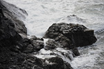 _MG_9188