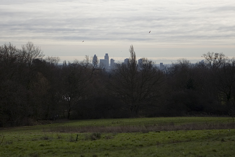 _MG_9567p