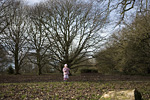 _MG_9578p