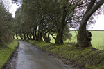 _MG_9817p