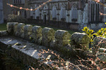 _MG_9837p