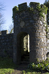 _MG_9859p