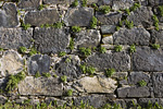 _MG_9926p