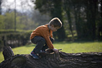 _MG_0292p