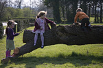 _MG_0294p