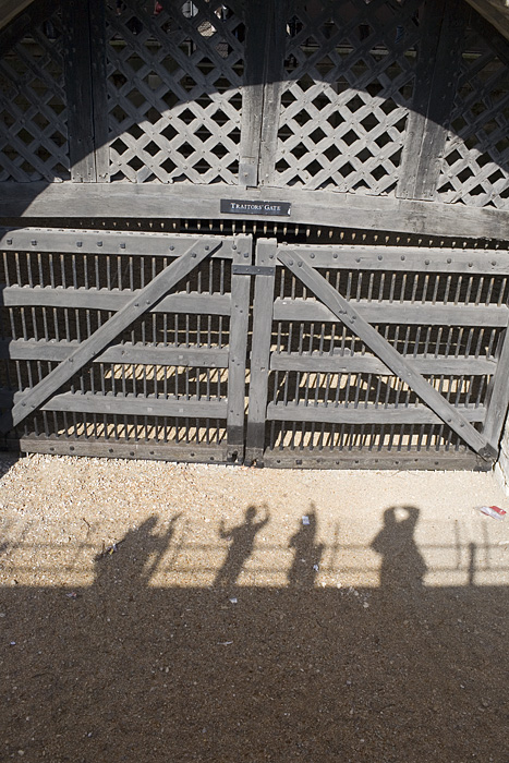 _MG_0514p
