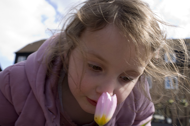 _MG_0532p