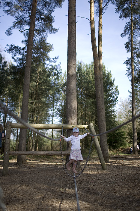 _MG_0731p