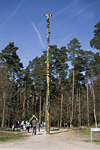 _MG_0669p