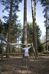 _MG_0731p