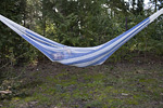 _MG_0644p