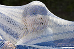 _MG_0658p
