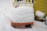 0702_MG_9653p