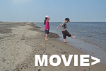 BeachVideo