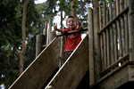 _MG_2062p