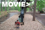 bewilderwood