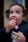 _MG_2293p