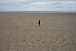 _MG_2331p