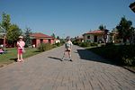 _MG_3987p