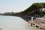 _MG_3254p