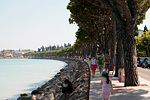 _MG_3274p