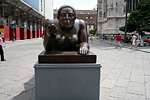 _MG_3563p
