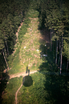 _MG_3897p