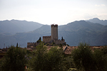 _MG_3948p