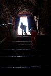 _MG_3291p