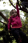 _MG_4725p