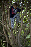 _MG_4734p