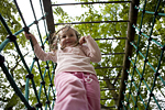 _MG_4503p