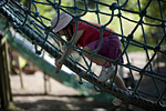 _MG_5034p1