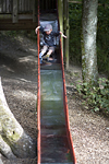 _MG_5056p
