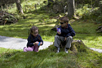 _MG_4454p