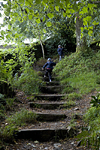 _MG_4624p