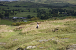 _MG_4630p