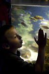 _MG_5246p