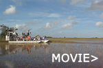 everglades2
