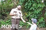 everglades_safari2