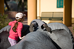 _MG_8819p