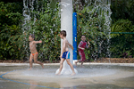 _MG_7992p