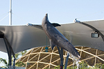 _MG_6984p