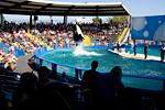 _MG_7177p