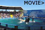 seaquarium