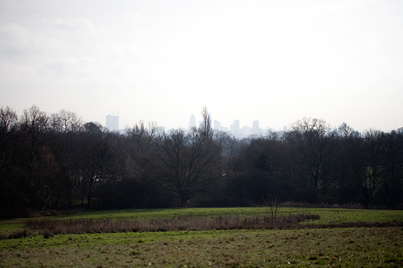 _MG_9026p